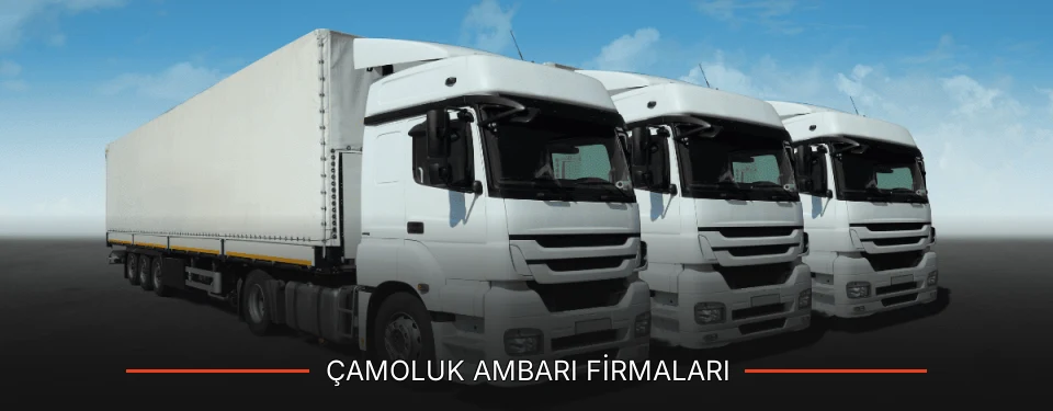 Çamoluk Ambarı Taşımacılık