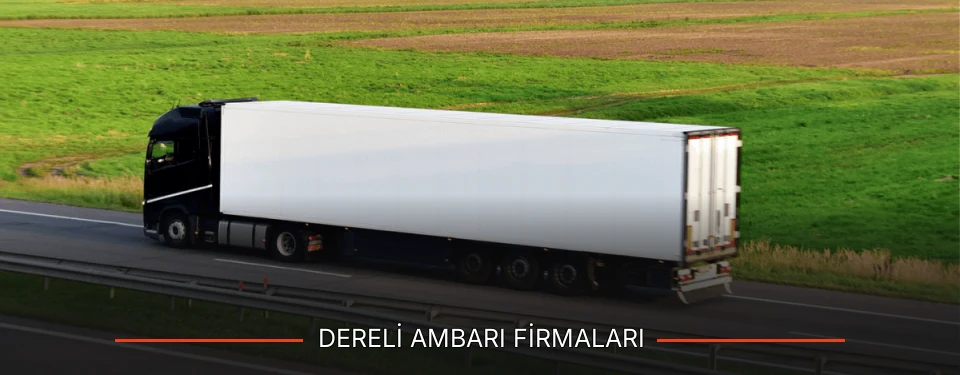 Dereli Ambarı Taşımacılık