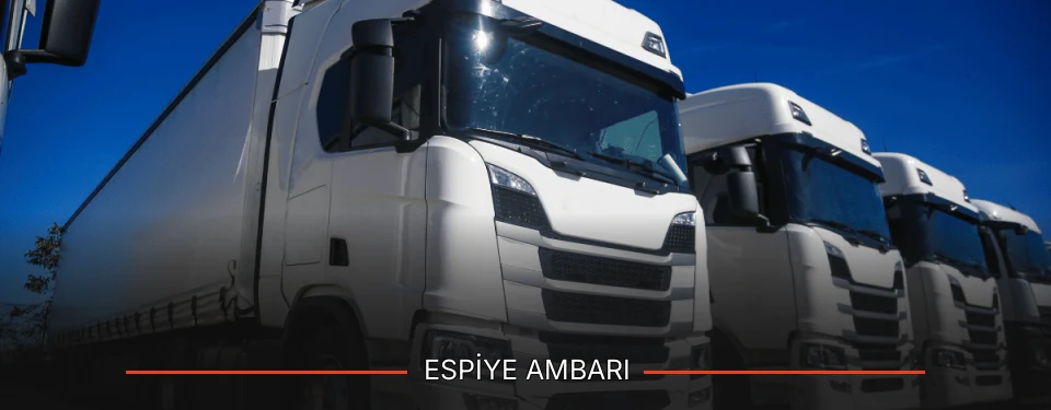 Espiye Ambarı Kargo