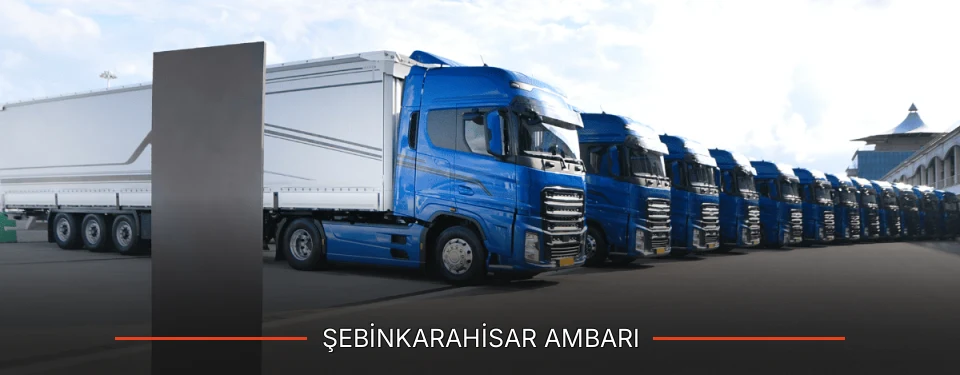 Şebinkarahisar Ambarı